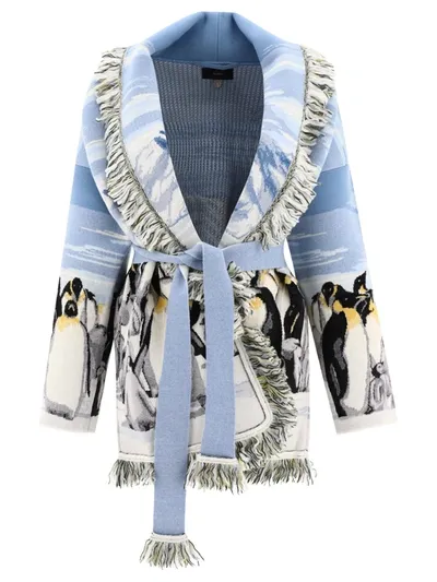 Alanui Postcard From Antarctica Jacquard Cardigan In Pastel