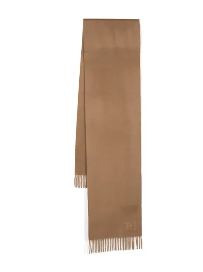 Max Mara Cachemire Stole In Brown