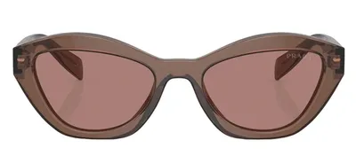 Prada Sunglasses In Brown