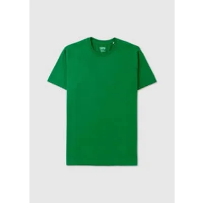 Colorful Standard Mens Classic Organic T-shirt In Hunter Green In Green Fabric