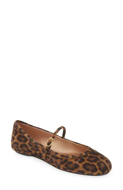 Gianvito Rossi Carla Ballet Flats In Brown