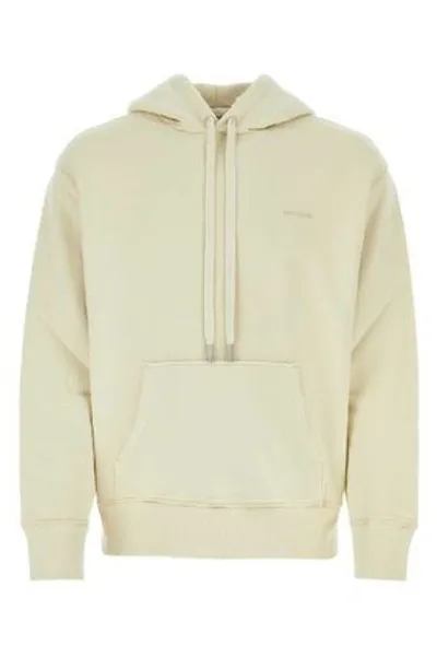 Ami Alexandre Mattiussi Beige Boxy Hoodie In Neutrals