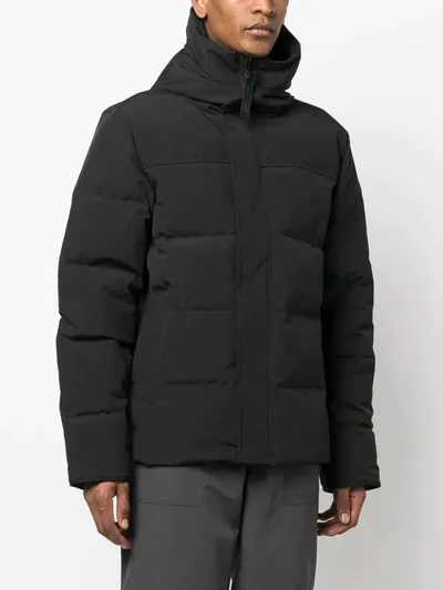 Canada Goose Macmillan Hooded Parka In 61 Black