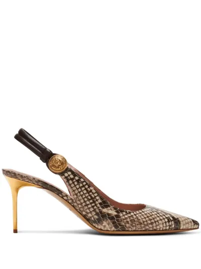 Balmain Alma 75mm Snakeskin Leather Pumps In Brown