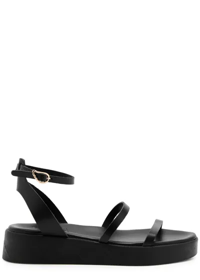 Ancient Greek Sandals Nissida Sandals In Black