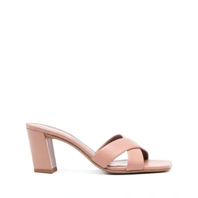 Paris Texas Shoes In Pink