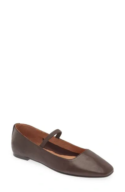 Madewell The Greta Ballet Flat In Chocolate Raisin