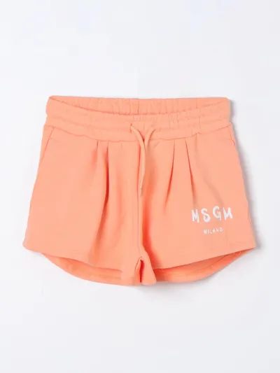 Msgm Short  Kids Kids Color Orange