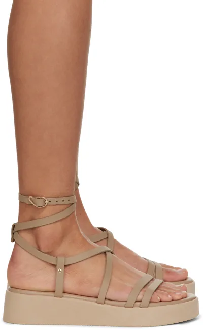 Ancient Greek Sandals Taupe Aristea Sandals