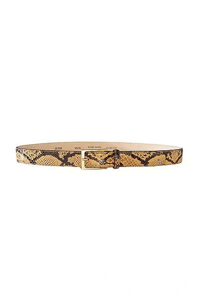 Aureum Snake Embossed Belt