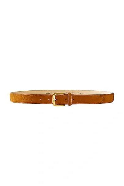 Aureum Camel Suede Belt