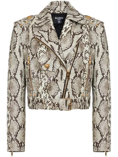 Balmain Snakeskin-effect Leather Biker Jacket In Grey