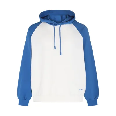 Sunnei Dust And Blue Cotton Sweatshirt In Dust/blue