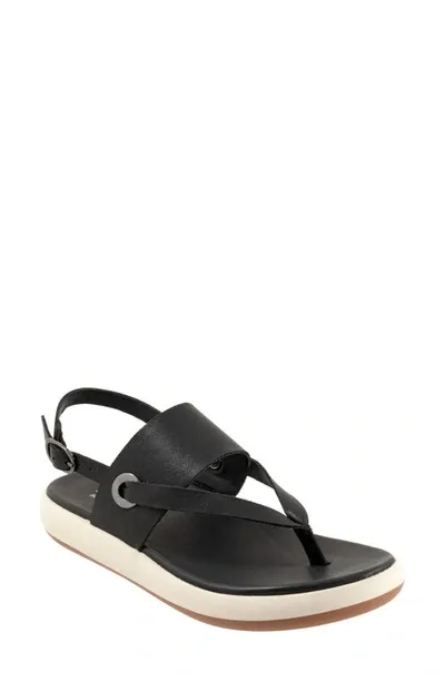 Softwalk Joliet Slingback Sandal In Black