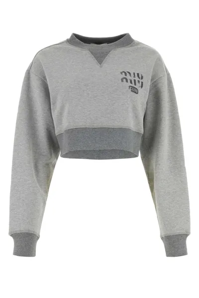 Miu Miu Logo In Grey