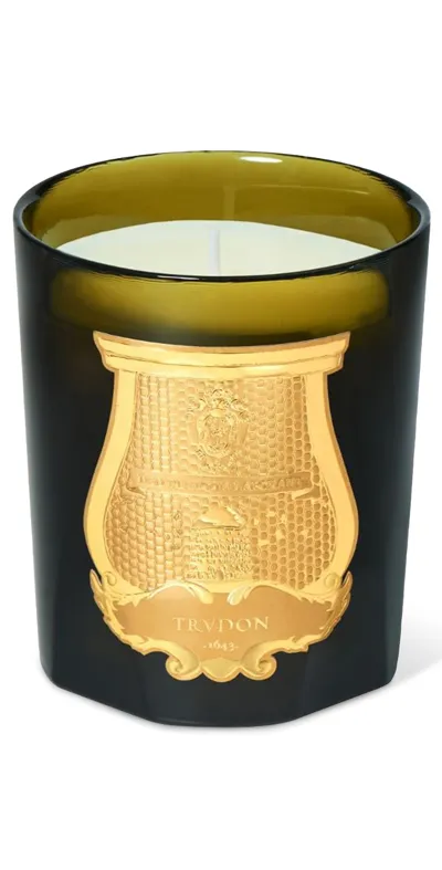 Trudon Gabriel Candle Gourmand Chimney Fire