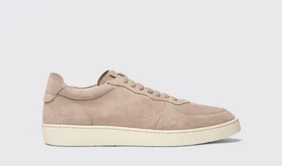 Scarosso Agostino Taupe Suede - Man Sneakers Taupe In Taupe - Suede