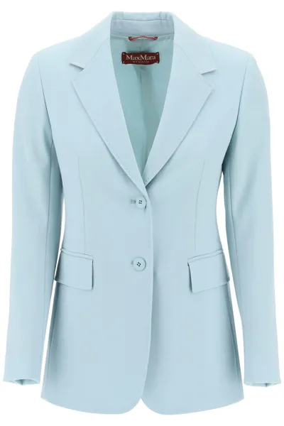 Max Mara Dingey Single-breasted Blazer In Light Blue