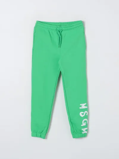 Msgm Pants  Kids Kids Color Green