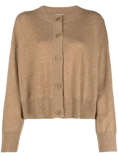 P.a.r.o.s.h Brushed Cashmere Cardigan In Neutrals