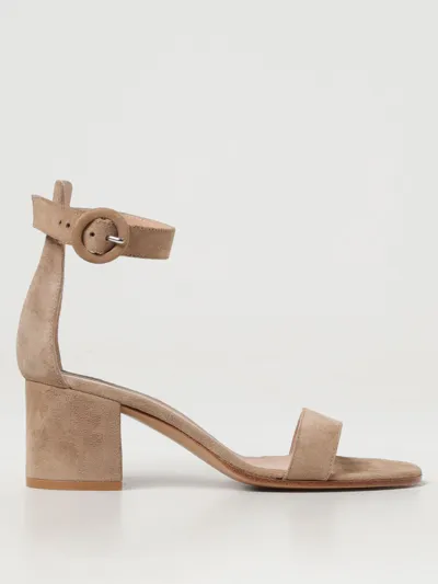 Moncler Gianvito Rossi Versilia 60 Suede Sandals In Beige