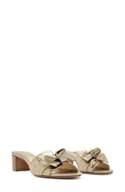 Alexandre Birman Maxi Clarita Metallic Knot Flat Sandals In Luna