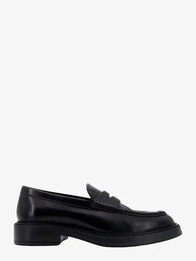 Tod's Loafer In Black