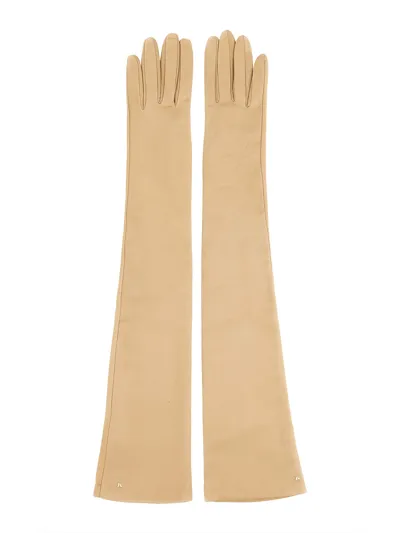 Max Mara Long Gloves. In Beige