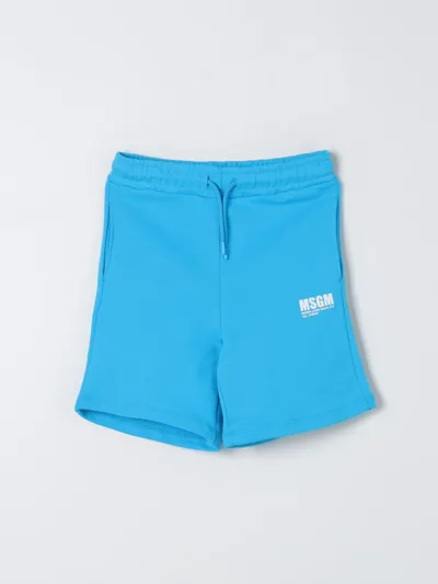 Msgm Pants  Kids Kids Color Turquoise