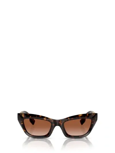 Burberry Sunglasses In Dark Havana