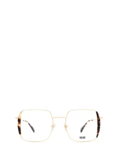 Kaleos Eyeglasses In Gold & Tortoise