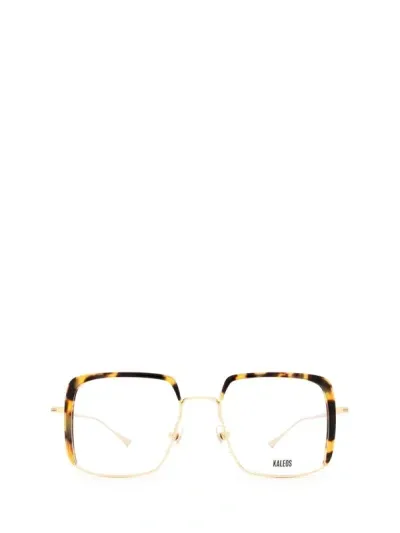 Kaleos Eyeglasses In Gold & Dark Havana