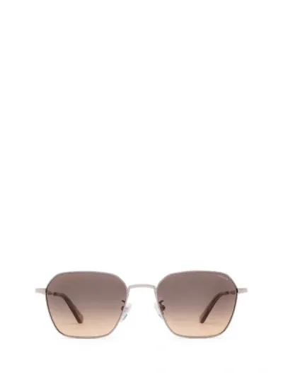 Police Sunglasses In Ruthenium