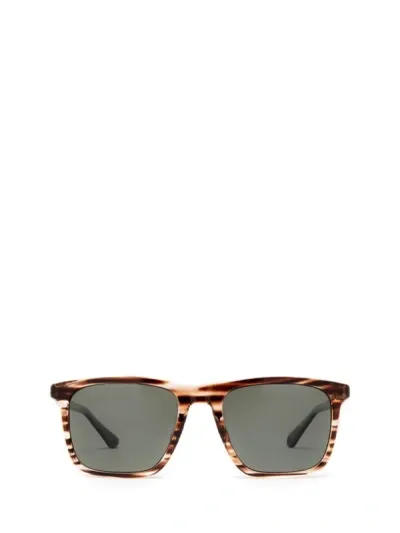 Police Sunglasses In Brown