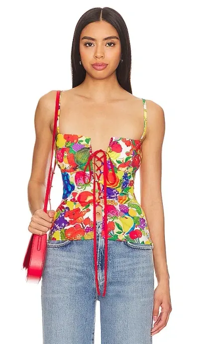 Tyler Mcgillivary Fruit Sticker Corset In Fruit Stickers Print