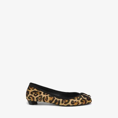 Alexander Mcqueen Armadillo Ballet Flat In Multicolor