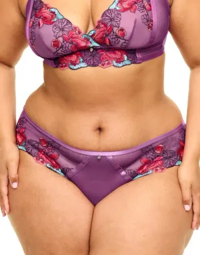 Adore Me Emilie Hipster Panties In Floral Purple