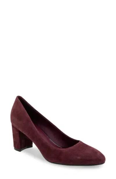 Aerosoles Betsy Pump In Deep Aubergine Suede