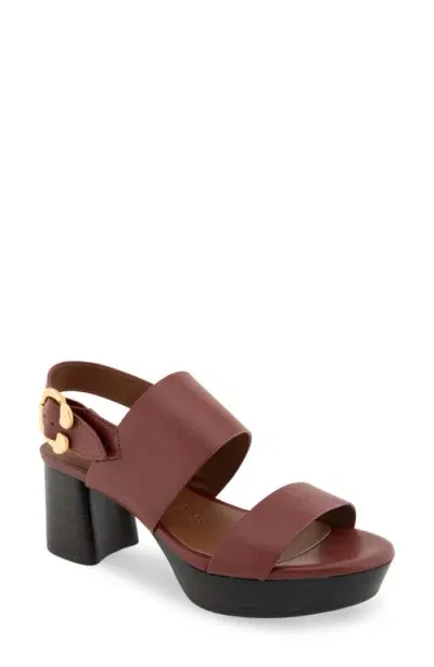 Aerosoles Camera Platform Sandal In Clay Combo Leather