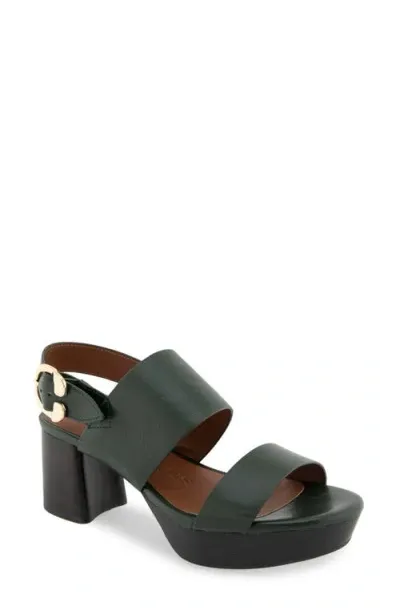 Aerosoles Camera Platform Sandal In Fir Green Leather