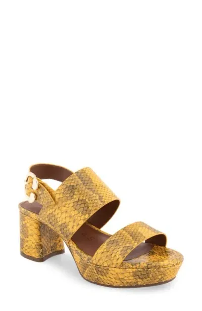 Aerosoles Camera Platform Sandal In Tonal Embosed Snake Marigold