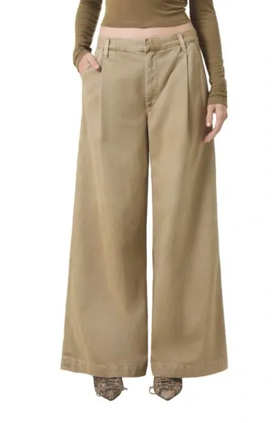 Agolde Daryl Pleated Wide-leg Jeans In Brown