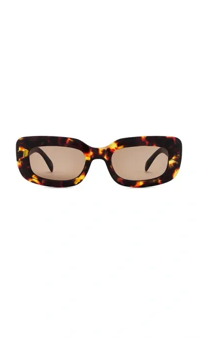 Aire Orbit Sunglasses In Syrup Tort