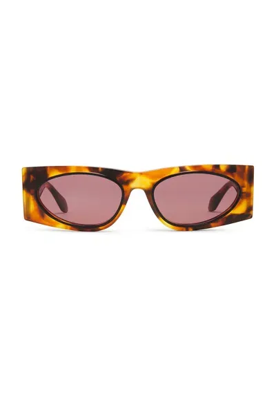 Alaïa Oval Transparent Sunglasses In Havana & Red