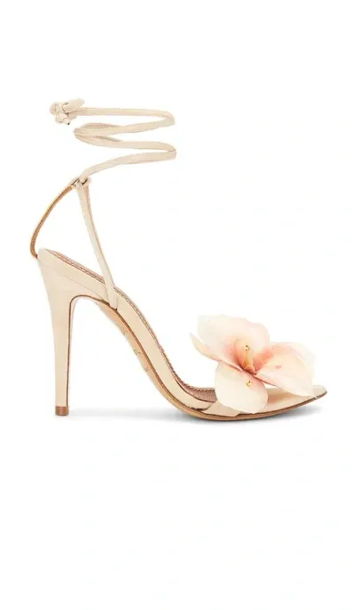 Alameda Turquesa Clarissa Sandal In Blush