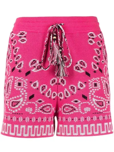 Alanui Bandana-print Pique Shorts In Rosa