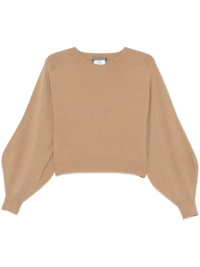 Alberta Ferretti Ribbed Sweater In Brown