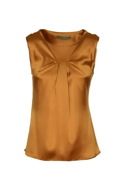 Alberta Ferretti V-neck Fitted Top In Brown