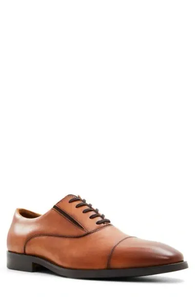 Aldo Paxley Cap Toe Oxford In Cognac