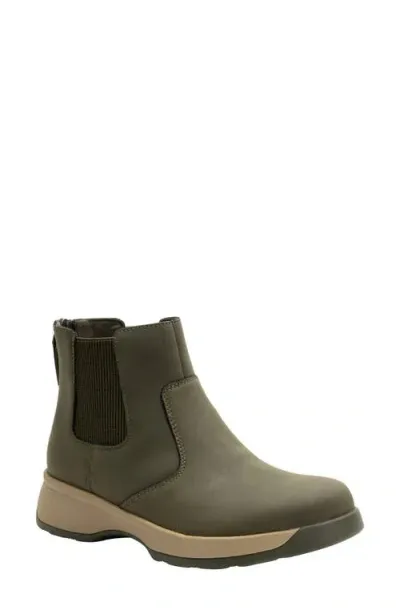 Alegria By Pg Lite Chelsea Boot In Oregano